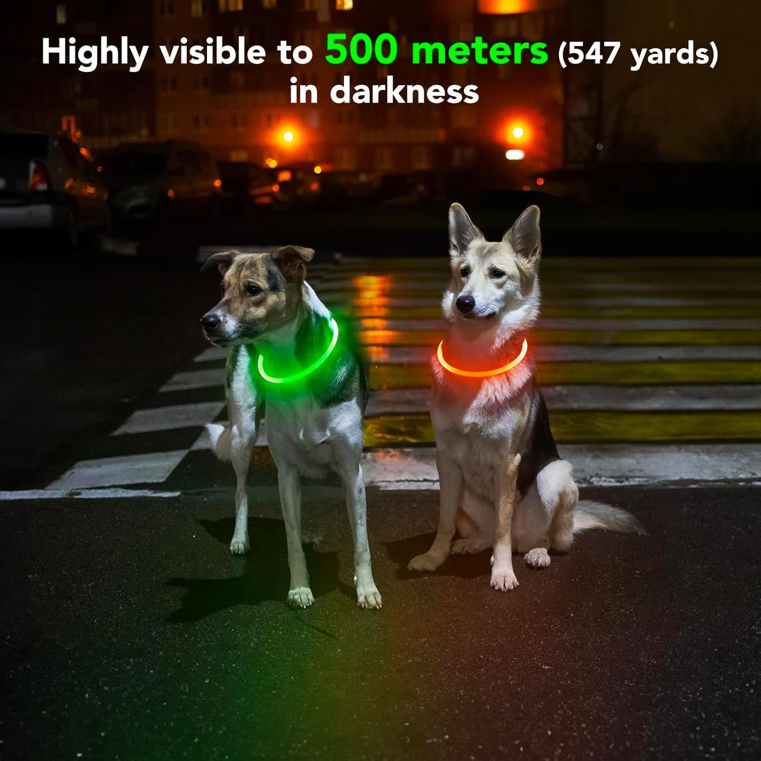 Rechargeable Waterproof Lighted Dog Collar for Enhanced Night Visibility (Orange)
