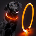 Rechargeable Waterproof Lighted Dog Collar for Enhanced Night Visibility (Orange)