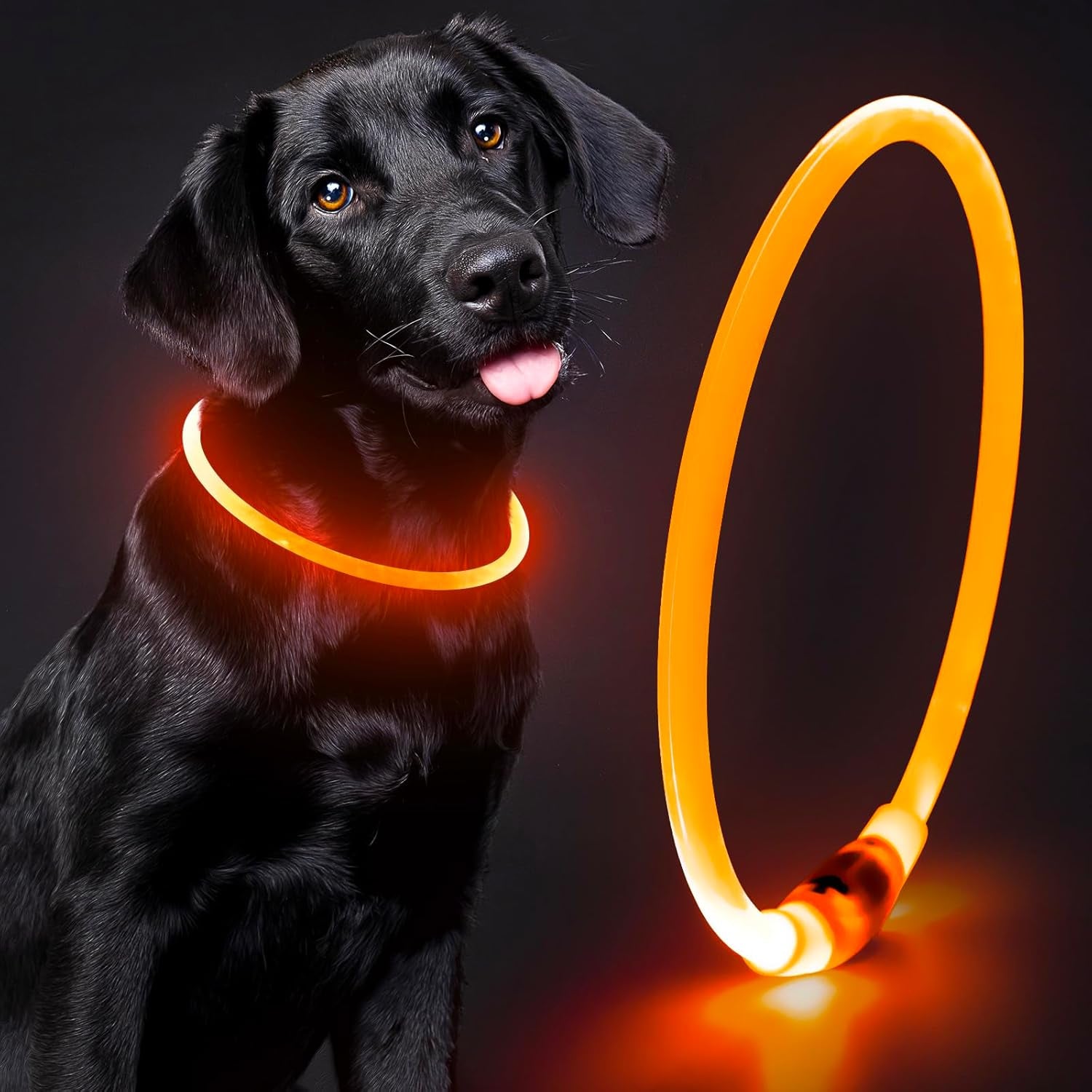 Rechargeable Waterproof Lighted Dog Collar for Enhanced Night Visibility (Orange)