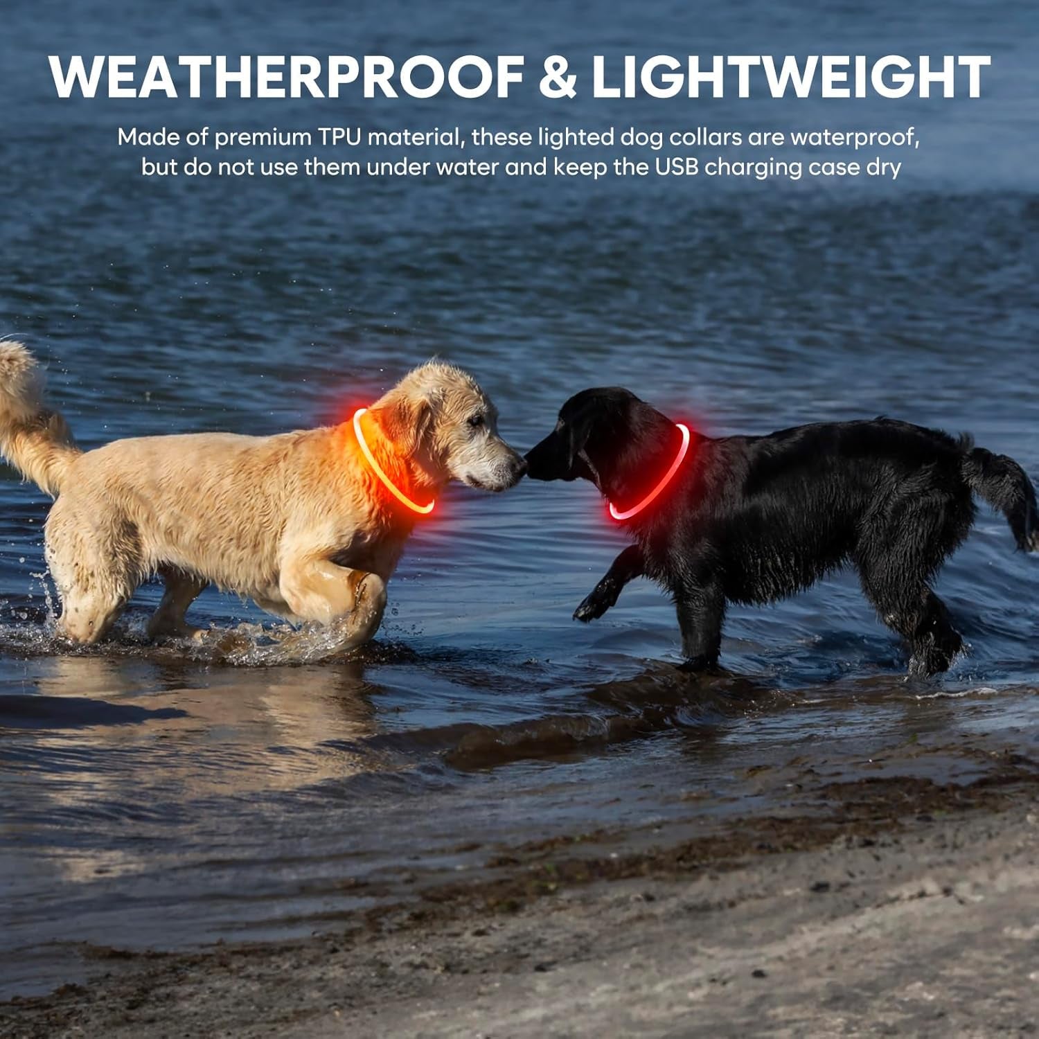 Rechargeable Waterproof Lighted Dog Collar for Enhanced Night Visibility (Orange)